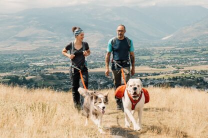 I-DOG Rucksack-Hüftgurt UPKA VENTOUX – Bild 17