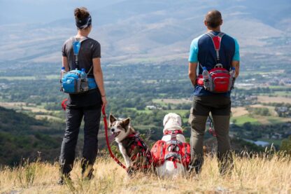 I-DOG Rucksack-Hüftgurt UPKA VENTOUX – Bild 15