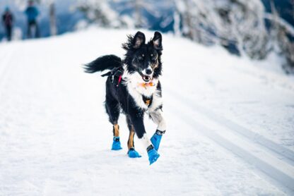 Non-stop dogwear Longdistance Booties Blau – Bild 3